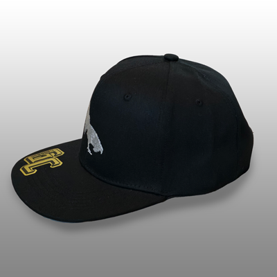 Black Snap-Back Baseball Cap