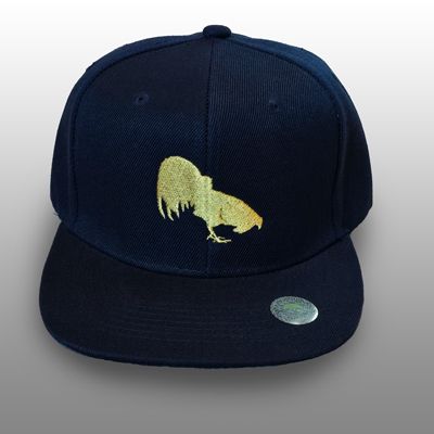 Navy Blue Baseball cap