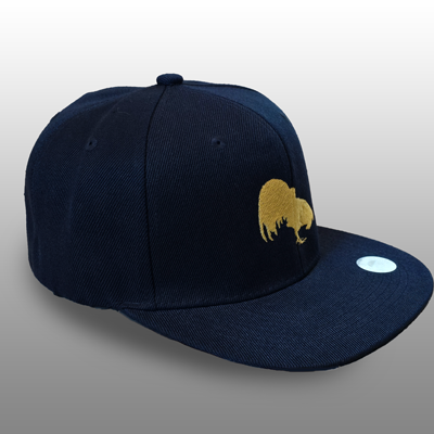 Navy Blue Baseball cap