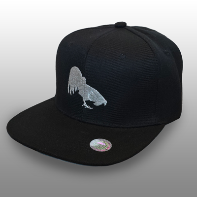 Black Snap-Back Baseball Cap