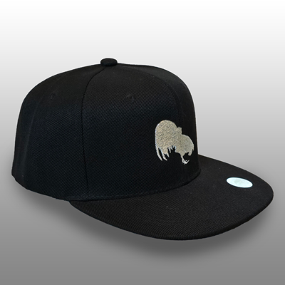 Black Snap-Back Baseball Cap